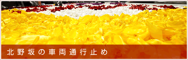 k̒ʍs~